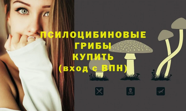 гашик Лагань
