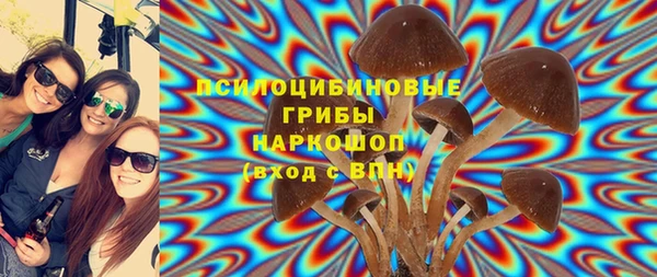 дмт Лабытнанги