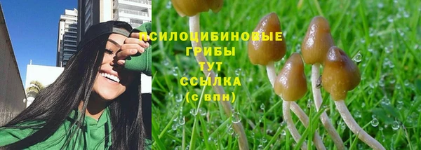 СК Лихославль