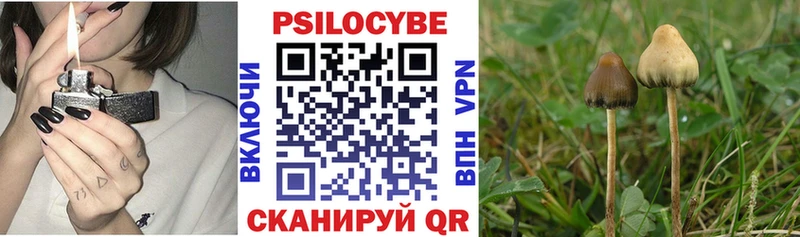 Галлюциногенные грибы Psilocybe  Чухлома 